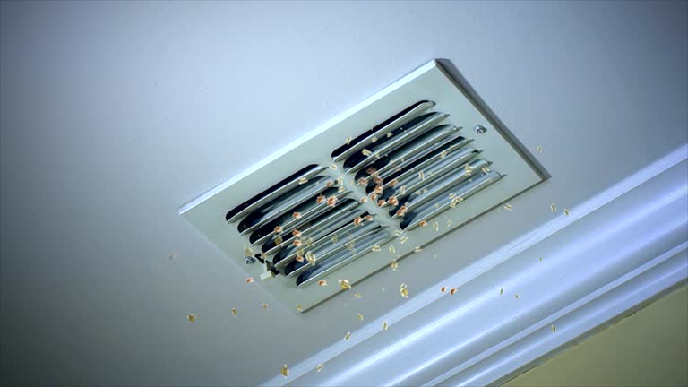 Best Air Duct Cleaning Company Near Me  in Traverse City, MI