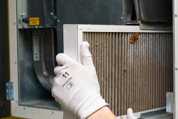 Best Local Air Duct Cleaning Services  in Traverse City, MI